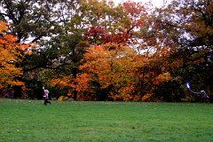 photo 0143